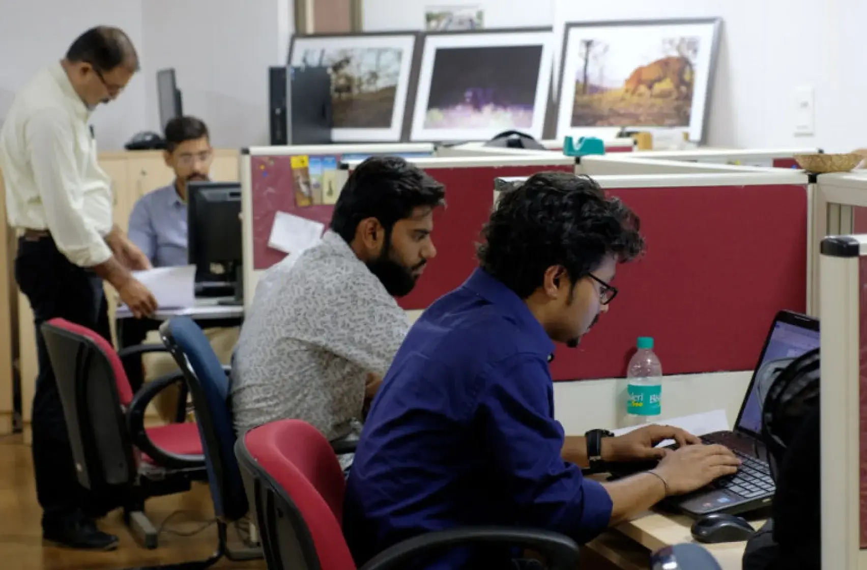 Scientists working at Tiger Cell, Dehradun.